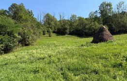 Teren intravilan, 6505 mp, zona Ocolis