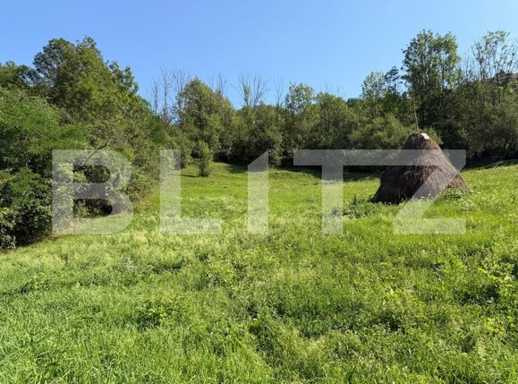 Teren de vânzare Ocolis - 207372TV | BLITZ Alba Iulia | Poza1