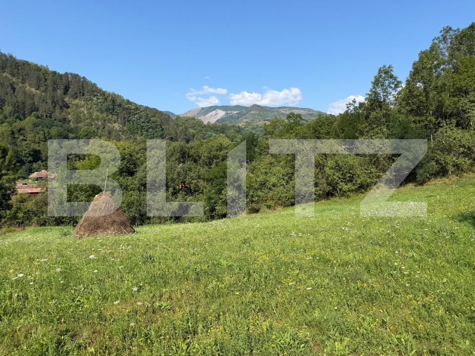 Teren de vânzare Ocolis - 207372TV | BLITZ Alba Iulia | Poza3
