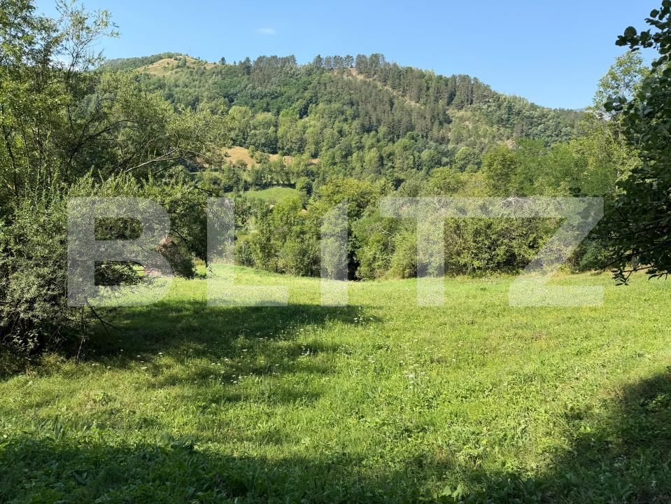 Teren de vânzare Ocolis - 207372TV | BLITZ Alba Iulia | Poza2