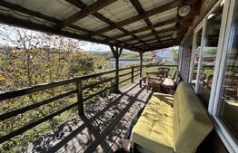 Cabana de vanzare, 64 mp, zona Aiudul de Sus