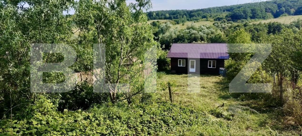Casa de vânzare 3 camere Aiudul de Sus - 207433CV | BLITZ Alba Iulia | Poza9