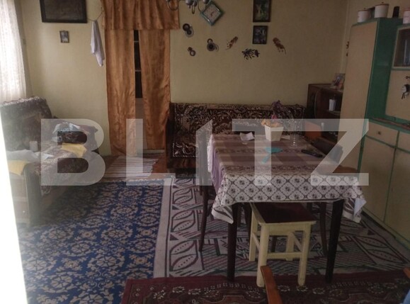 Casa de vânzare 2 camere Lunca Muresului - 207460CV | BLITZ Alba Iulia | Poza5