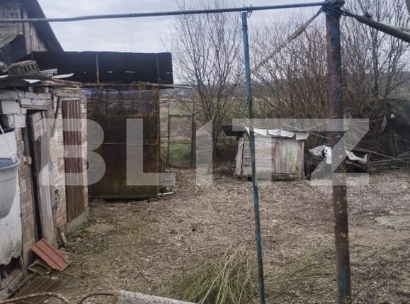 Casa de vânzare 2 camere Lunca Muresului - 207460CV | BLITZ Alba Iulia | Poza12