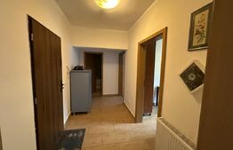 Apartament 2 camere, 52 mp, zona Cetate