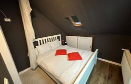 Spațiu comercial, 110 mp, zona Nord-Est