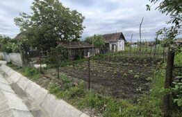 Casa de vanzare Noslac 