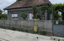 Casa de vanzare Noslac 