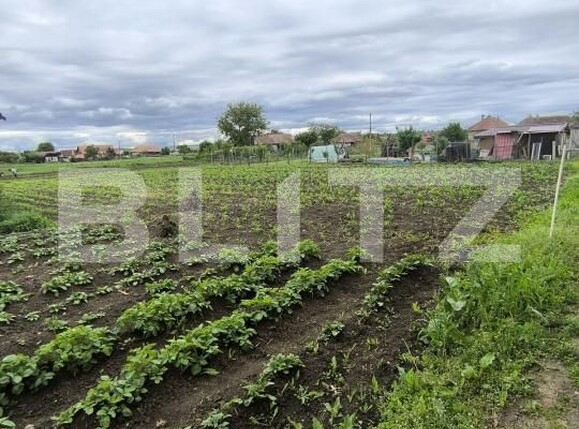 Casa de vânzare 2 camere Ocna Mures - 207978CV | BLITZ Alba Iulia | Poza8
