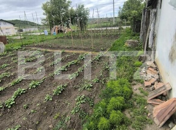 Casa de vânzare 2 camere Ocna Mures - 207978CV | BLITZ Alba Iulia | Poza9