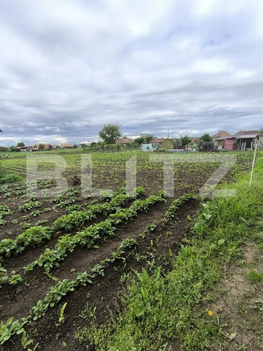 Casa de vânzare 2 camere Ocna Mures - 207978CV | BLITZ Alba Iulia | Poza8