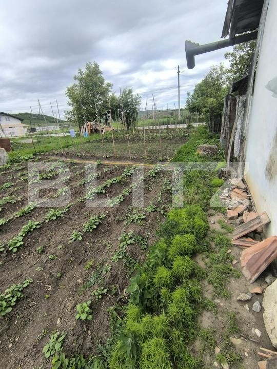 Casa de vânzare 2 camere Ocna Mures - 207978CV | BLITZ Alba Iulia | Poza9