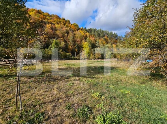 Casa de vânzare 7 camere Nemesi - 208110CV | BLITZ Alba Iulia | Poza9