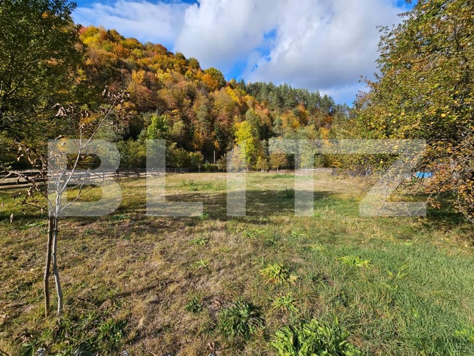 Casa de vânzare 7 camere Nemesi - 208110CV | BLITZ Alba Iulia | Poza9