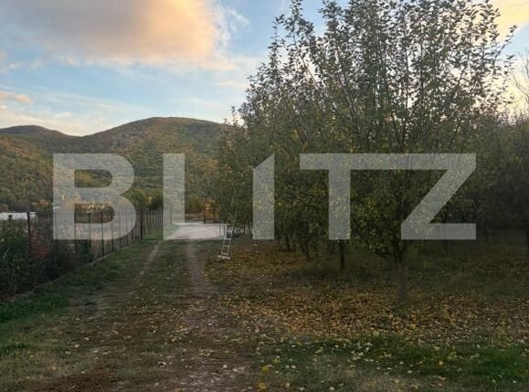 Casa de vânzare 5 camere Sard - 208161CV | BLITZ Alba Iulia | Poza10