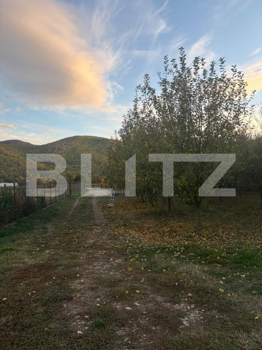 Casa de vânzare 5 camere Sard - 208161CV | BLITZ Alba Iulia | Poza10
