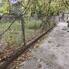 Casa de vânzare 1 camera Ocna Mures - 208242CV - Poza 1 din 9 | BLITZ Alba Iulia | Poza5