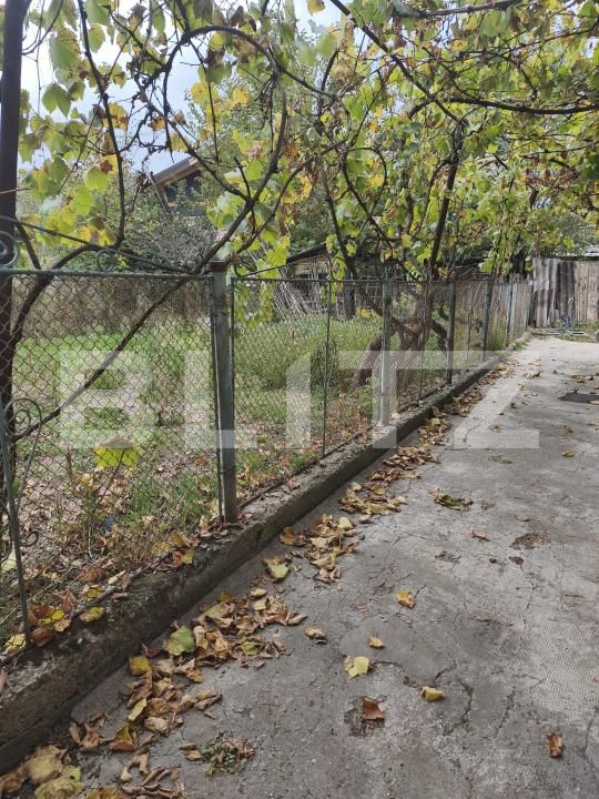 Casa de vânzare 1 camera Ocna Mures - 208242CV | BLITZ Alba Iulia | Poza7
