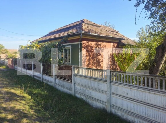 Casa de vânzare 2 camere Ocna Mures - 208243CV | BLITZ Alba Iulia | Poza4