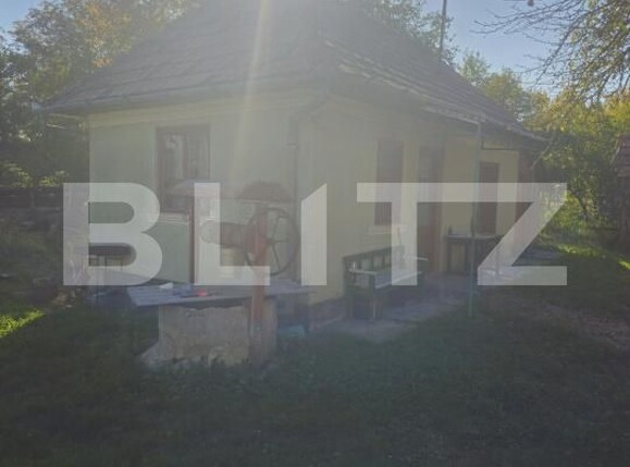 Casa de vânzare 2 camere Ocna Mures - 208243CV | BLITZ Alba Iulia | Poza7