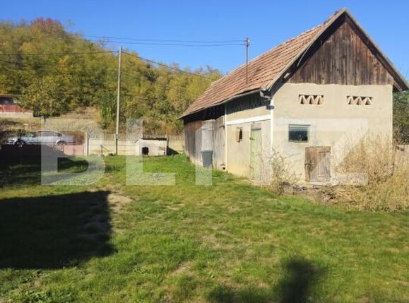 Casa de vânzare 2 camere Ocna Mures - 208243CV | BLITZ Alba Iulia | Poza5