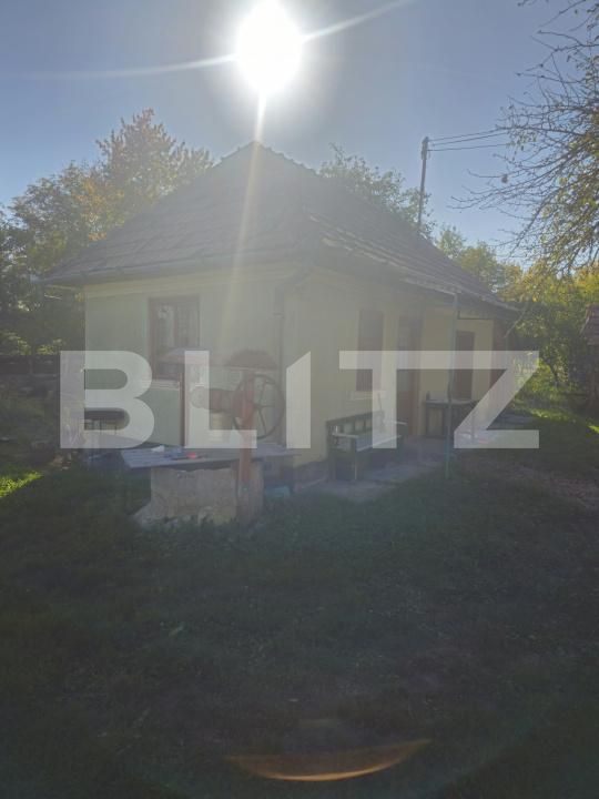 Casa de vânzare 2 camere Ocna Mures - 208243CV | BLITZ Alba Iulia | Poza7
