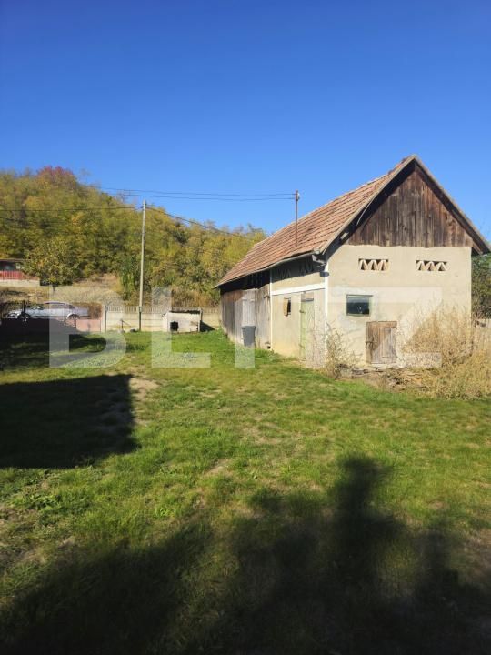 Casa de vânzare 2 camere Ocna Mures - 208243CV | BLITZ Alba Iulia | Poza5