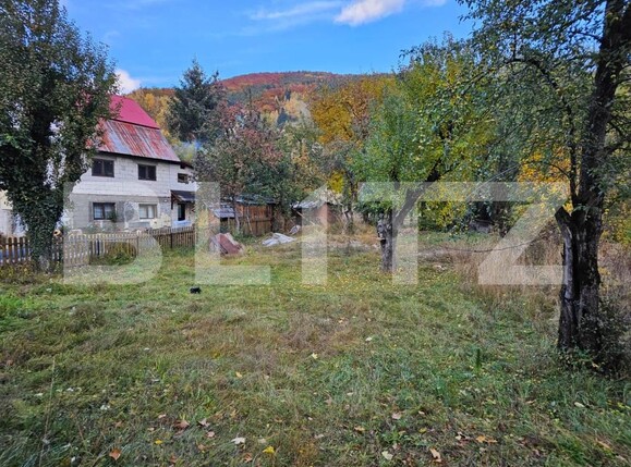 Casa de vânzare 2 camere Avram Iancu - 208248CV | BLITZ Alba Iulia | Poza8