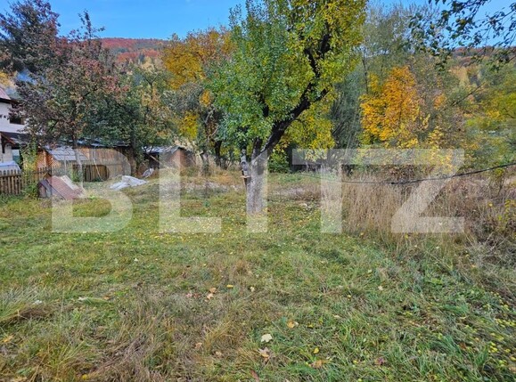 Casa de vânzare 2 camere Avram Iancu - 208248CV | BLITZ Alba Iulia | Poza6