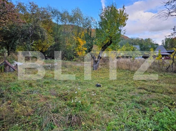 Casa de vânzare 2 camere Avram Iancu - 208248CV | BLITZ Alba Iulia | Poza9