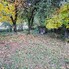 Casa de vânzare 2 camere Avram Iancu - 208248CV - Poza 1 din 9 | BLITZ Alba Iulia | Poza6