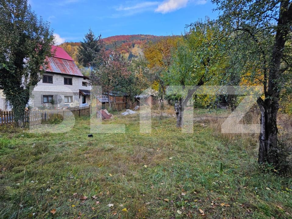 Casa de vânzare 2 camere Avram Iancu - 208248CV | BLITZ Alba Iulia | Poza8