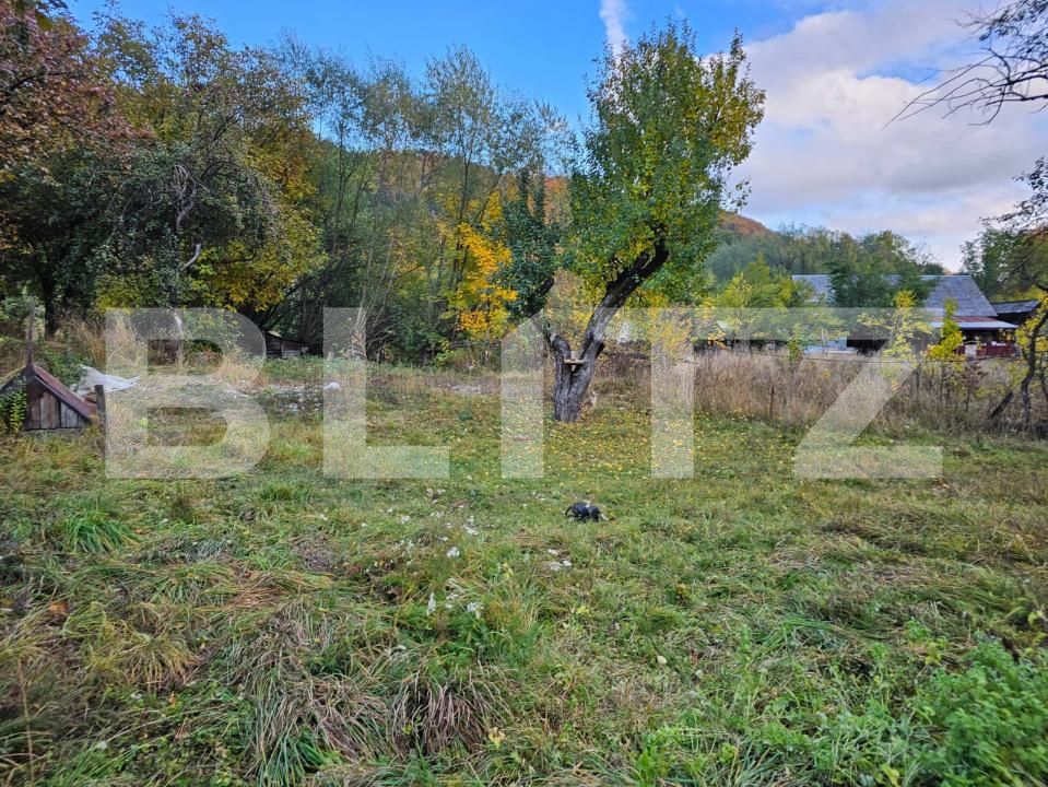Casa de vânzare 2 camere Avram Iancu - 208248CV | BLITZ Alba Iulia | Poza9