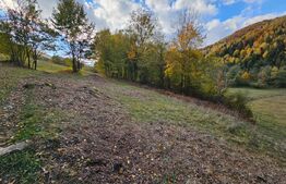 Teren extravilan de 2710 mp în Nemesi, comuna Vidra