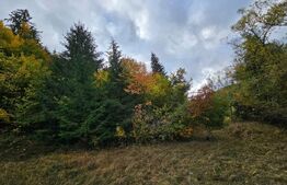 Teren extravilan de 2710 mp în Nemesi, comuna Vidra