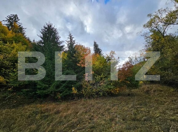 Teren de vânzare Nemesi - 208250TV | BLITZ Alba Iulia | Poza3