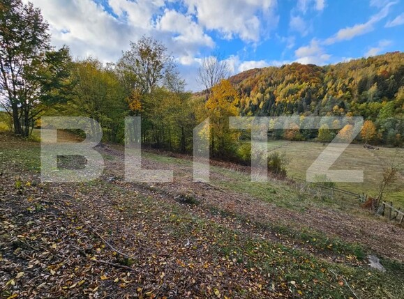Teren de vânzare Nemesi - 208250TV | BLITZ Alba Iulia | Poza4