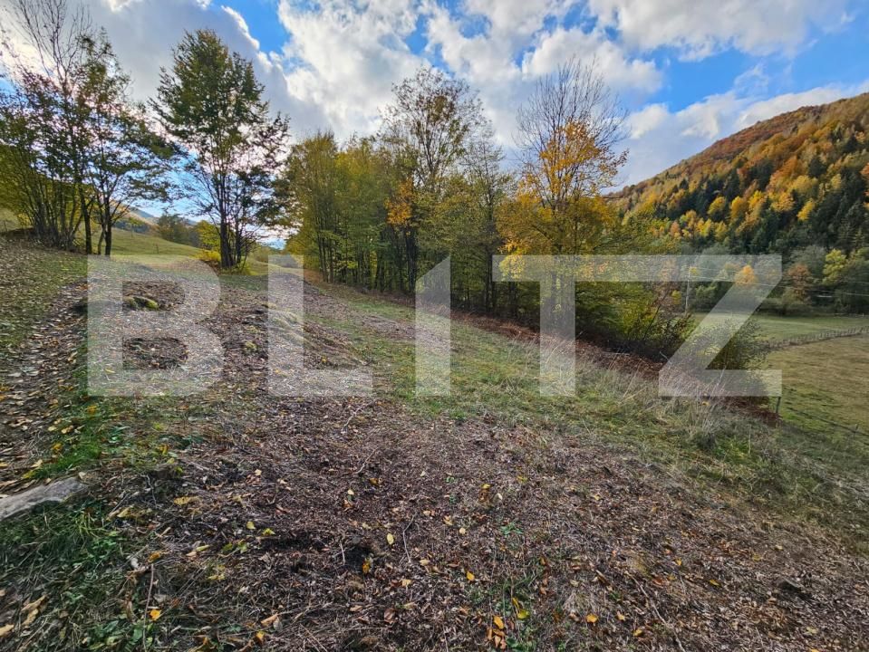 Teren de vânzare Nemesi - 208250TV | BLITZ Alba Iulia | Poza2