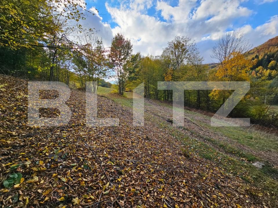 Teren de vânzare Nemesi - 208250TV | BLITZ Alba Iulia | Poza6