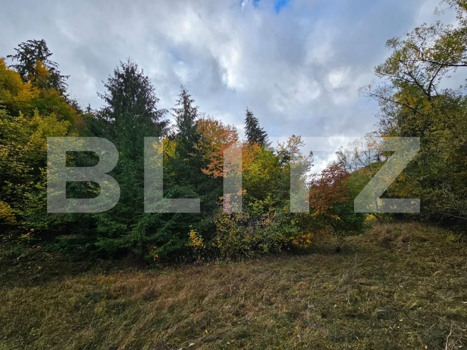Teren de vânzare Nemesi - 208250TV | BLITZ Alba Iulia | Poza3