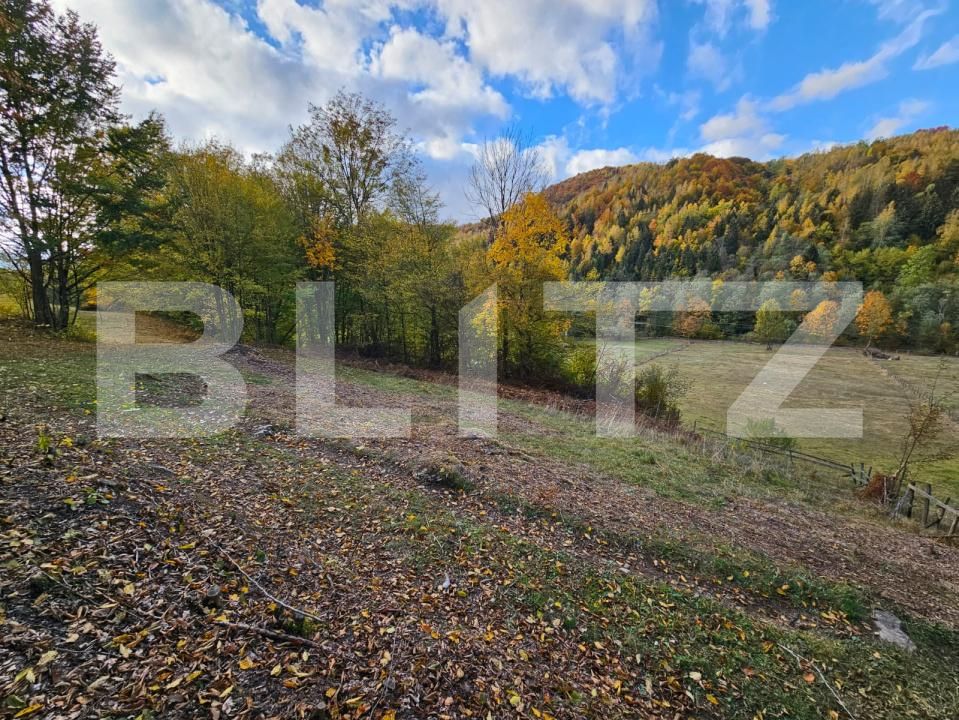 Teren de vânzare Nemesi - 208250TV | BLITZ Alba Iulia | Poza4