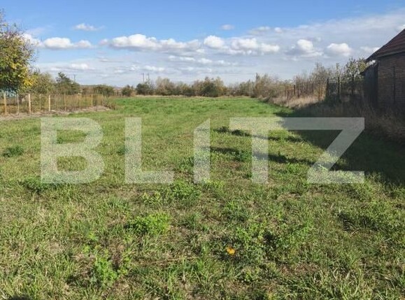 Teren de vânzare Razboieni-Cetate - 208251TV | BLITZ Alba Iulia | Poza2