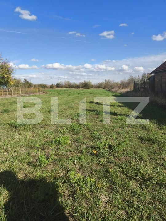 Teren de vânzare Razboieni-Cetate - 208251TV | BLITZ Alba Iulia | Poza2