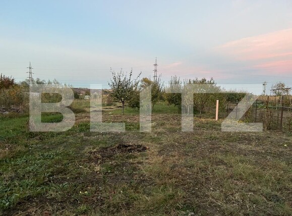 Casa de vânzare 3 camere Unirea - 208462CV | BLITZ Alba Iulia | Poza10