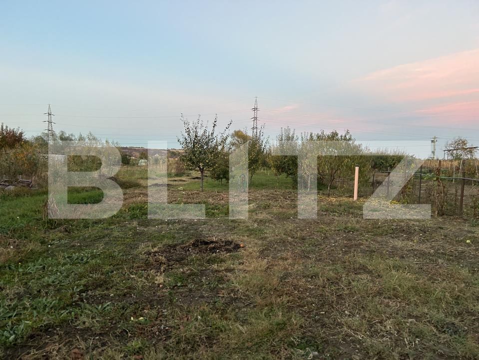 Casa de vânzare 3 camere Unirea - 208462CV | BLITZ Alba Iulia | Poza10