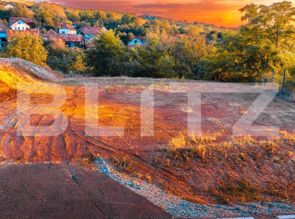 Teren de vânzare Drâmbar - 208493TV | BLITZ Alba Iulia | Poza3