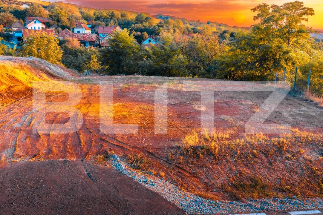 Teren de vânzare Drâmbar - 208493TV | BLITZ Alba Iulia | Poza3