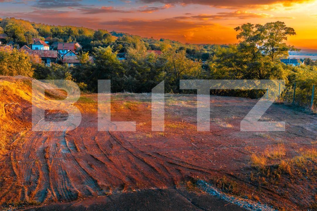 Teren de vânzare Drâmbar - 208493TV | BLITZ Alba Iulia | Poza2