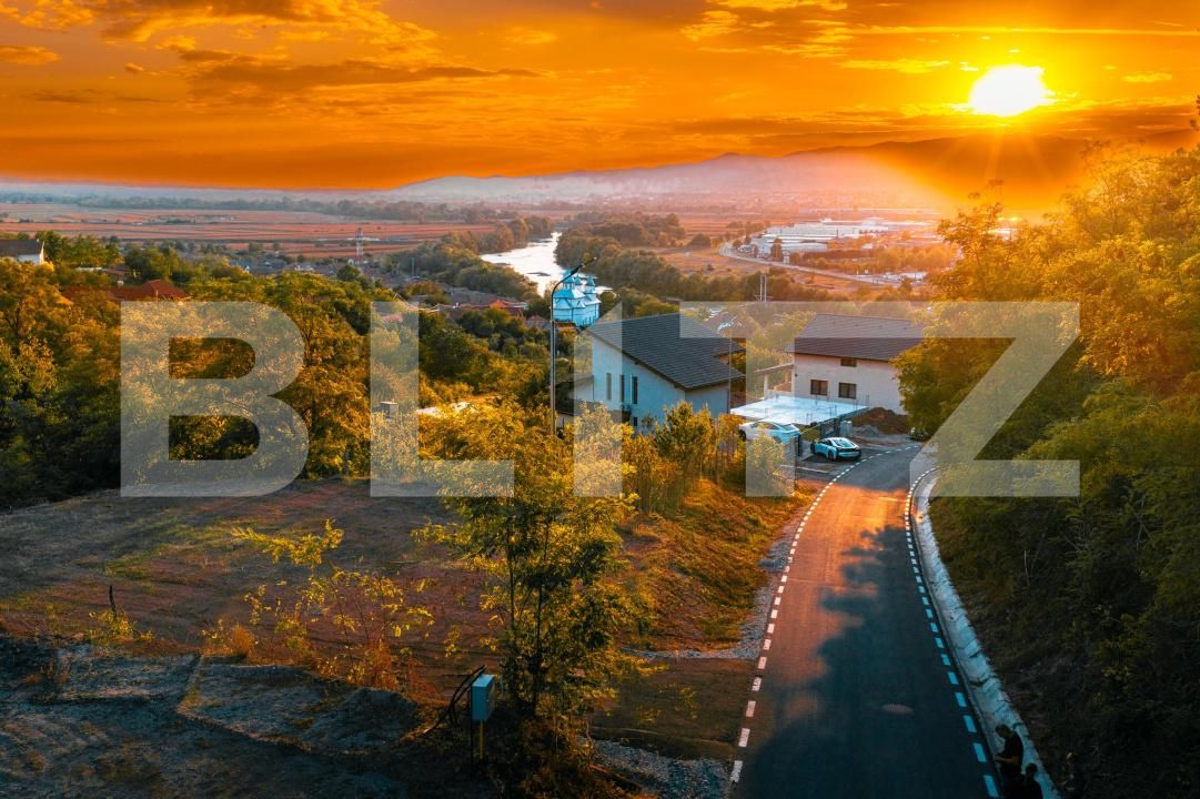 Teren de vânzare Drâmbar - 208493TV | BLITZ Alba Iulia | Poza4