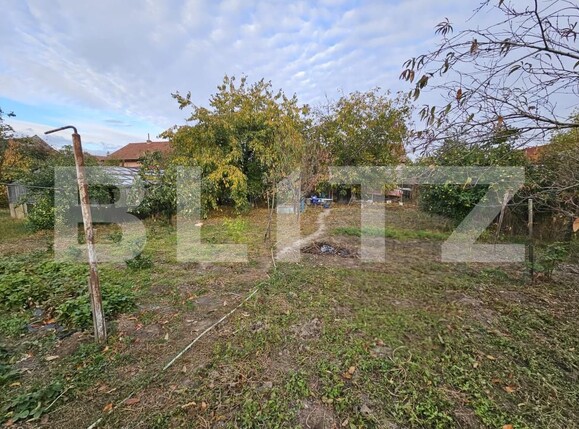 Casa de vânzare 10 camere Sebeș - 208708CV | BLITZ Alba Iulia | Poza15